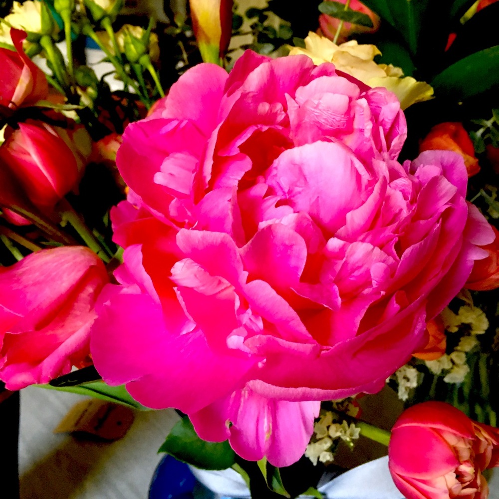 Meet your Posher, Melissa